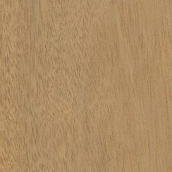 انواع درب چوبی 7 انواع درب چوبی