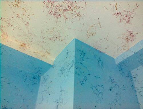 انواع چسب ، رزین و رنگ ساختمانی