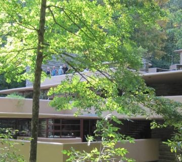 سبک معماری ارگانیک چیست و ویژگی های آن