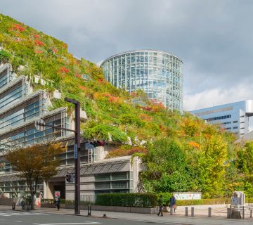 بام سبز، راهکاری نوین در پایدارسازی توسعه شهری 8 بام سبز، راهکاری نوین در پایدارسازی توسعه شهری